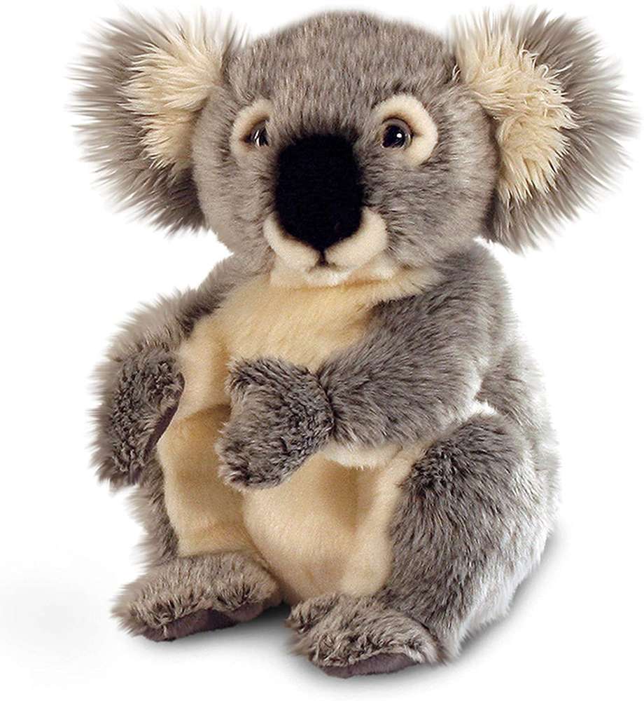 Peluche Koala